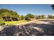 A street view captures a residential neighborhood with tree-lined streets and a mix of homes and buildings in the background at 502 W Windsor Ave, Phoenix, AZ 85003