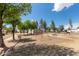 Community playground featuring swings, picnic tables, and surrounding trees at 5136 E Evergreen St # 1142, Mesa, AZ 85205