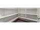 Well-organized pantry with ample shelving for storage at 5440 W Apollo Rd, Laveen, AZ 85339