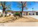 Single story home featuring mature landscaping, carport, and neutral paint scheme at 9227 N 36Th Dr, Phoenix, AZ 85051