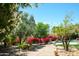 Expansive backyard featuring lush greenery, a pool, and a brick-lined pathway at 10800 E Cactus Rd # 34, Scottsdale, AZ 85259