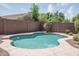 Inviting pool with mature landscaping around the privacy fence at 12503 W Vista Paseo Dr, Litchfield Park, AZ 85340