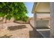 Desert landscaped backyard featuring fruit trees, a block wall, and a covered patio at 13416 W Ventura St, Surprise, AZ 85379
