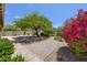 Lush backyard featuring colorful bougainvillea, desert landscaping, and a paved patio at 16861 N 106Th Way, Scottsdale, AZ 85255