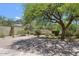 Picturesque backyard featuring lush greenery, a mature shade tree, and a desert landscaped area at 16861 N 106Th Way, Scottsdale, AZ 85255