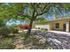 Private backyard featuring mature shade trees, desert landscaping, and privacy fencing at 16861 N 106Th Way, Scottsdale, AZ 85255