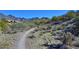 Winding desert hiking trail with mountain views and natural landscape at 16861 N 106Th Way, Scottsdale, AZ 85255