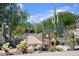 Walking path in a desert park featuring mature trees, Saguaro cacti, and blooming desert plants at 16861 N 106Th Way, Scottsdale, AZ 85255