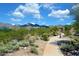 Walking path through native vegetation featuring views of McDowell Mountain and a blue cloudy sky at 16861 N 106Th Way, Scottsdale, AZ 85255