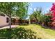 Large grassy backyard featuring covered patio, block wall and beautiful greenery throughout at 18622 N 28Th Way, Phoenix, AZ 85050