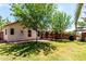 Spacious backyard with a covered patio, grassy area, mature trees, and partial block wall at 18622 N 28Th Way, Phoenix, AZ 85050