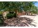 Lovely single-Gathering home featuring a three-car garage, desert landscaping and a lush shade tree at 18622 N 28Th Way, Phoenix, AZ 85050