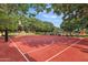 Full basketball court surrounded by green trees and shaded picnic area in a Gathering-friendly neighborhood at 20563 E Carriage Way, Queen Creek, AZ 85142