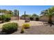 Well-maintained backyard with gravel landscaping, various cacti, plants, and a brick wall for privacy at 21019 N Sansom Dr, Maricopa, AZ 85138