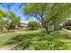 Scenic community green with mature trees and lush grass creating a serene and inviting atmosphere for residents to enjoy at 2250 E Deer Valley Rd # 24, Phoenix, AZ 85024