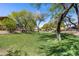 Expansive green space with mature trees that provides a peaceful and scenic environment for residents to enjoy at 2250 E Deer Valley Rd # 24, Phoenix, AZ 85024