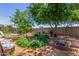 Lush backyard with mature trees, a rock garden, and a cozy fire pit area at 355 E Fillmore St, Tempe, AZ 85288