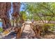 A charming wooden bridge leads to a scenic pathway surrounded by palm trees and lush greenery by a pond at 355 E Fillmore St, Tempe, AZ 85288