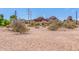 A landscape shot with red sand and desert foliage in the foreground with unique rock formations in the distance at 355 E Fillmore St, Tempe, AZ 85288