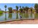 A scenic view of a pond with a heron standing at the water's edge and the desert landscape in the background at 355 E Fillmore St, Tempe, AZ 85288