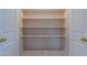 Bright pantry with four shelves and light gray flooring at 4116 E Sunnyside Dr, Phoenix, AZ 85028