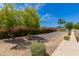 Lush backyard with mature trees, colorful bougainvillea, and a stone-lined garden, creating a peaceful retreat at 4317 E Glenrosa Ave, Phoenix, AZ 85018