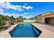 Backyard oasis featuring a sparkling pool, mature palm trees, and a well-manicured lawn at 43998 W Palo Abeto Dr, Maricopa, AZ 85138