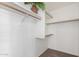 Walk-in closet with built-in shelving and a palm tree at 626 W Catclaw St, Gilbert, AZ 85233