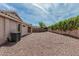Spacious backyard with gravel, a block fence, and a lush green vine wall, perfect for outdoor living at 708 E Mule Train Trl, San Tan Valley, AZ 85143
