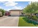 Charming single-story home features a well-maintained lawn and inviting curb appeal at 913 W Leadwood Ave, Queen Creek, AZ 85140