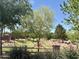 Lush community park area with mature shade trees and well-maintained landscaping at 913 W Leadwood Ave, Queen Creek, AZ 85140