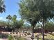 Community pool area with mature trees and desert landscaping at 913 W Leadwood Ave, Queen Creek, AZ 85140
