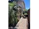 Pathway leading to a well-manicured side yard with lush greenery and potted plants at 913 W Leadwood Ave, Queen Creek, AZ 85140