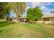 Private backyard with mature citrus tree and pergola-covered patio, ideal for outdoor living at 17804 N Del Webb Blvd, Sun City, AZ 85373