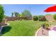Lush backyard with well-maintained lawn, beautiful landscaping, and shade trees at 17836 N 52Nd Pl, Scottsdale, AZ 85254
