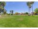 Expansive green space surrounded by mature landscaping and community homes at 17836 N 52Nd Pl, Scottsdale, AZ 85254