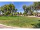 Community green space featuring mature trees, landscaping, and walkways at 17836 N 52Nd Pl, Scottsdale, AZ 85254