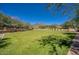 Expansive grassy backyard area with privacy wall and mature landscaping, perfect for pets or outdoor recreation at 18515 N 97Th Way, Scottsdale, AZ 85255