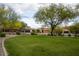 Scenic street view features manicured lawns and mature trees at 18515 N 97Th Way, Scottsdale, AZ 85255