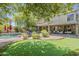 Sprawling backyard boasts a pool, lounge area, putting green and desert landscaping at 18581 E Aubrey Glen Rd, Queen Creek, AZ 85142