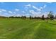 Expansive community park featuring lush green lawns and scattered trees, perfect for outdoor recreation under a sunny sky at 21690 N Lynn St, Maricopa, AZ 85138