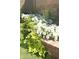 The landscaped area of the backyard shows a variety of greenery and white flowers along the brick wall at 29966 N 72Nd Dr, Peoria, AZ 85383