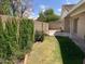 This backyard shows a trimmed lawn with an ivy-covered wall and a patio at 314 E Campo Bello Dr, Phoenix, AZ 85022