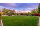 Lush backyard with green lawn, mature trees, flowering bushes, and a view of the surrounding landscape at 31900 N 127Th Ln, Peoria, AZ 85383