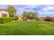 Expansive backyard featuring a lush lawn, pool, mature trees, and charming landscaping, ideal for outdoor enjoyment at 31900 N 127Th Ln, Peoria, AZ 85383