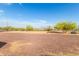 Expansive backyard features mature trees and lots of space at 37414 N 17Th Ave, Phoenix, AZ 85086