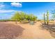 Spacious backyard features mature landscaping and native desert plants at 37414 N 17Th Ave, Phoenix, AZ 85086