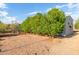 Backyard chicken coop and pen with mature trees nearby at 37414 N 17Th Ave, Phoenix, AZ 85086