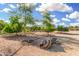 Lush backyard landscaping featuring various trees, enhancing the property's natural appeal with a view of the metal shed at 37414 N 17Th Ave, Phoenix, AZ 85086