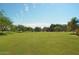 Expansive community park with lush green space, walking paths, and mature trees at 43344 W Oster Dr, Maricopa, AZ 85138
